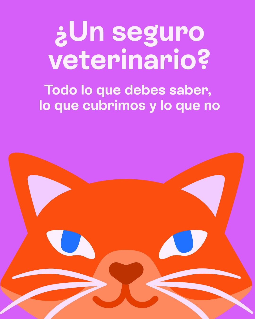 Barkibu